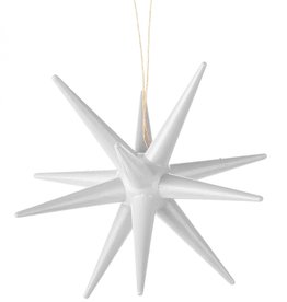 Dregeno Dregeno Star Ornament-Silver