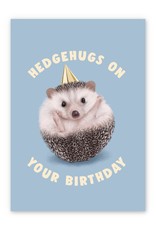 Paper E Clips Paper E Clips Hedgehugs Birthday