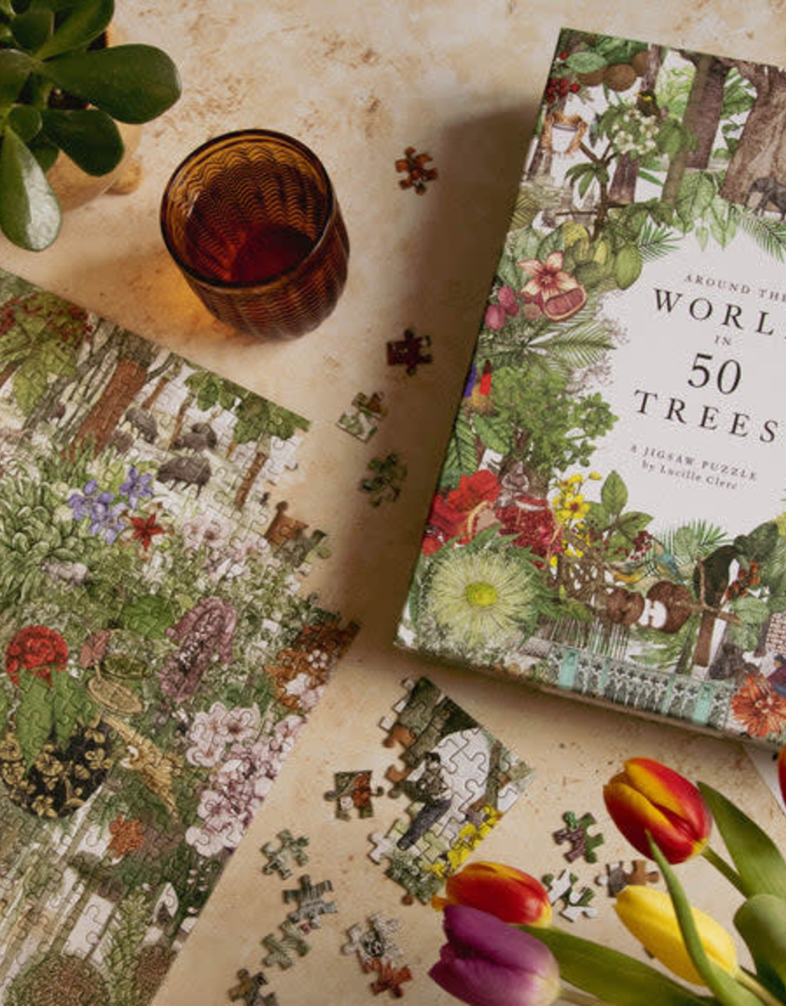 Raincoast Books Raincoast Books - Around The World In 50 Trees Puzzle
