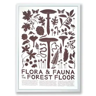 Banquet Workshop Banquet Workshop - Flora Fauna Forest Floor Print (Unframed)