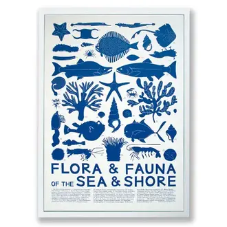Banquet Workshop Banquet Workshop - Flora Fauna Sea & Shore Print (Unframed)