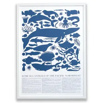 Banquet Workshop Banquet Workshop - Sea Animals Pacific Northwest Print (Unframed)
