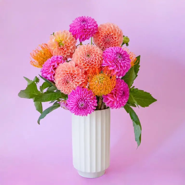 Jungle Club Jungle Club Monroe Vase - Vintage White