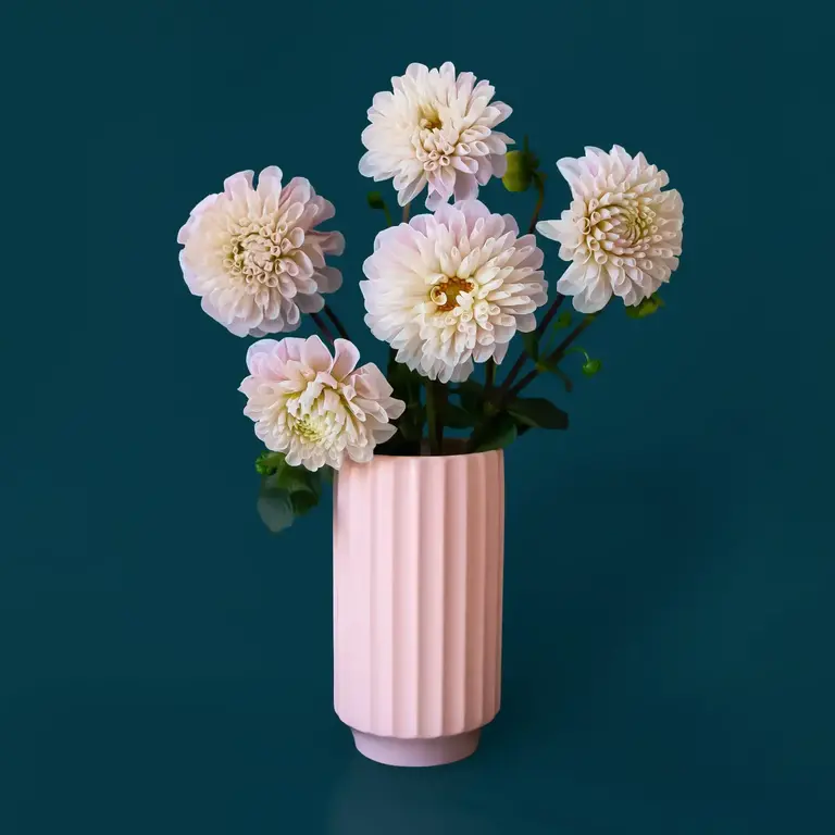 Jungle Club Jungle Club Monroe Vase - Petal Pink