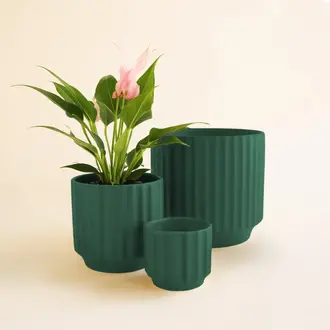 Jungle Club Jungle Club - Monroe Planter Small - Rainforest 3"