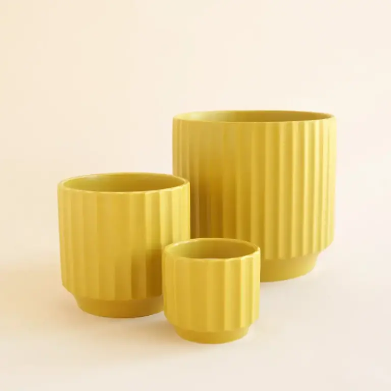Jungle Club Jungle Club - Monroe Planter Medium - Palm 4.5"