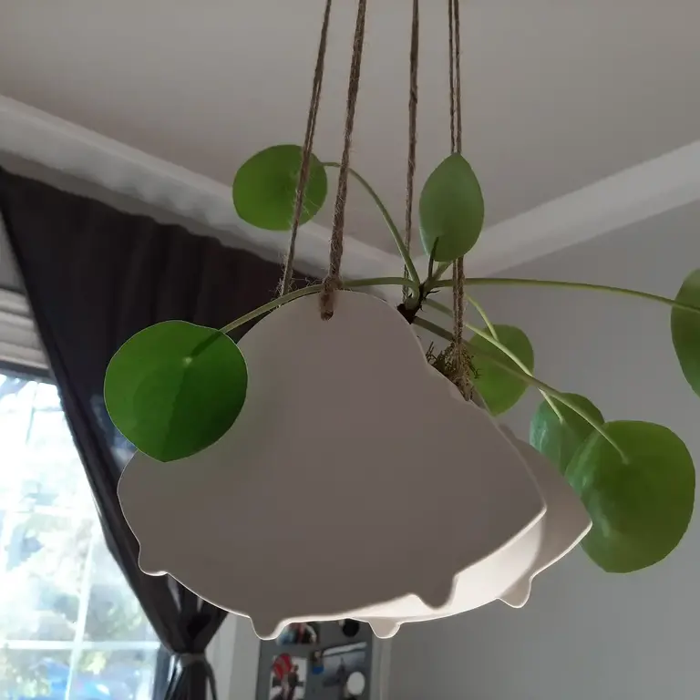 Julie Richard Julie Richard Hanging Planter - UFO Large