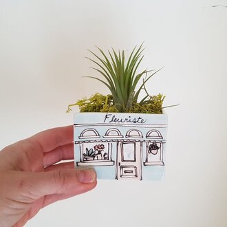 Julie Richard Julie Richard Florist Shop Planter - Small