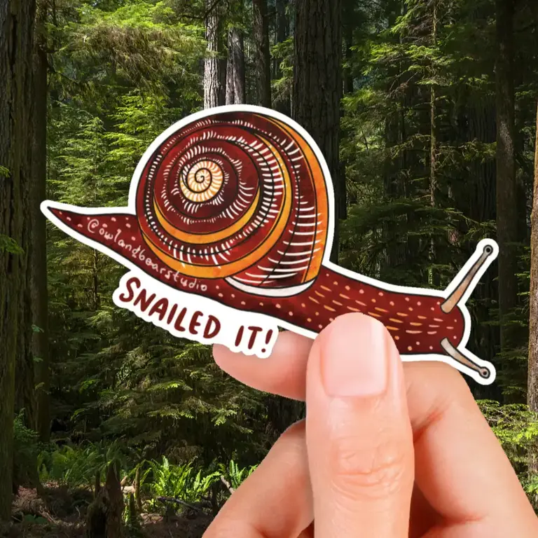 Owl & Bear Owl & Bear Snailed It Eco Vinyl Sticker