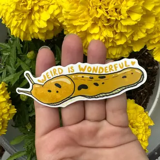 Owl & Bear Owl & Bear Weird Is Wonderful Eco-Vinyl Sticker