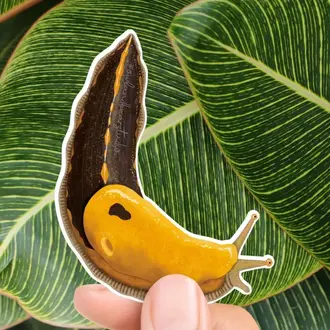 Owl & Bear Owl & Bear Pacific Banana Slug Eco-Vinyl Sticker