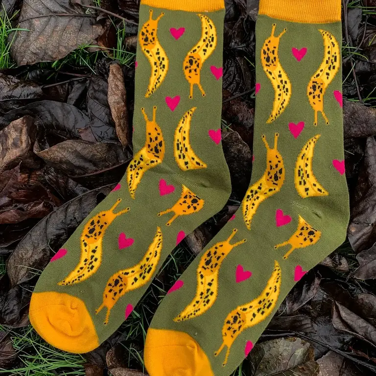 Owl & Bear Owl & Bear Bamboo Banana Slug Socks