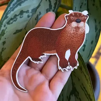 Owl & Bear Owl & Bear River Otter Magnet