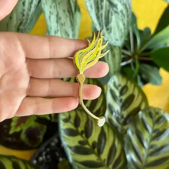 Owl & Bear Owl & Bear Bull Kelp Seaweed Enamel Pin