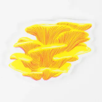 Porchlight Press Porchlight Sticker -Chicken of the Woods