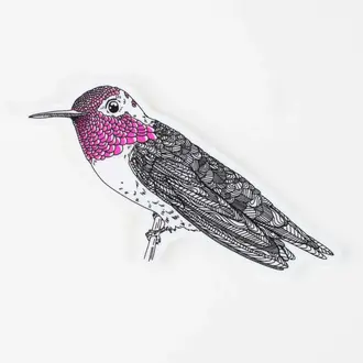 Porchlight Press Porchlight Sticker - Anna's Hummingbird