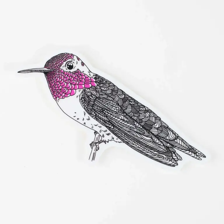 Porchlight Press Porchlight Sticker - Anna's Hummingbird