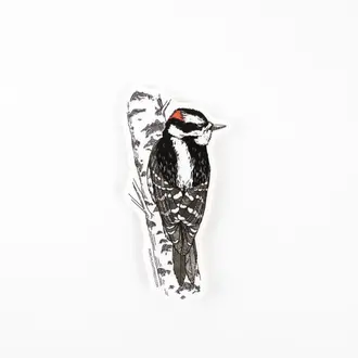 Porchlight Press Porchlight Sticker - Downey Woodpecker