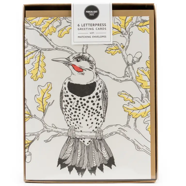 Porchlight Press Porchlight Box Cards - Northern Flicker