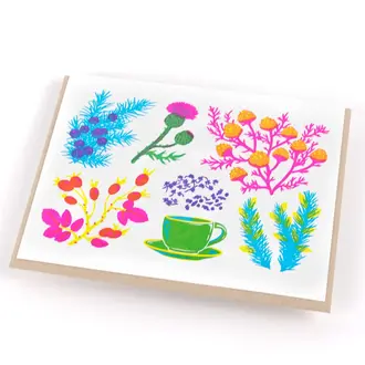 Porchlight Press Porchlight Vibrant Life Box Cards - Herbal Tea