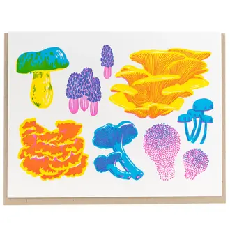 Porchlight Press Porchlight Vibrant Life Box Cards - Fruiting Fungi