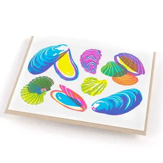 Porchlight Press Porchlight Vibrant Life Box Cards - Molluscs