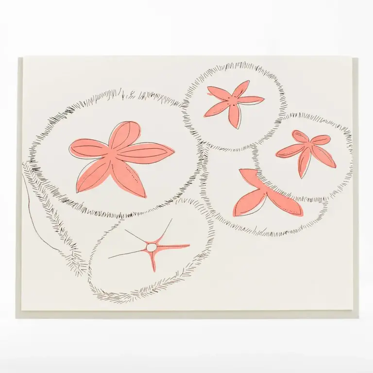 Porchlight Press Porchlight Sand Dollar Card