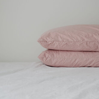 HJ - Turkish Cotton Pillow Cases Standard Set/2  - Primrose