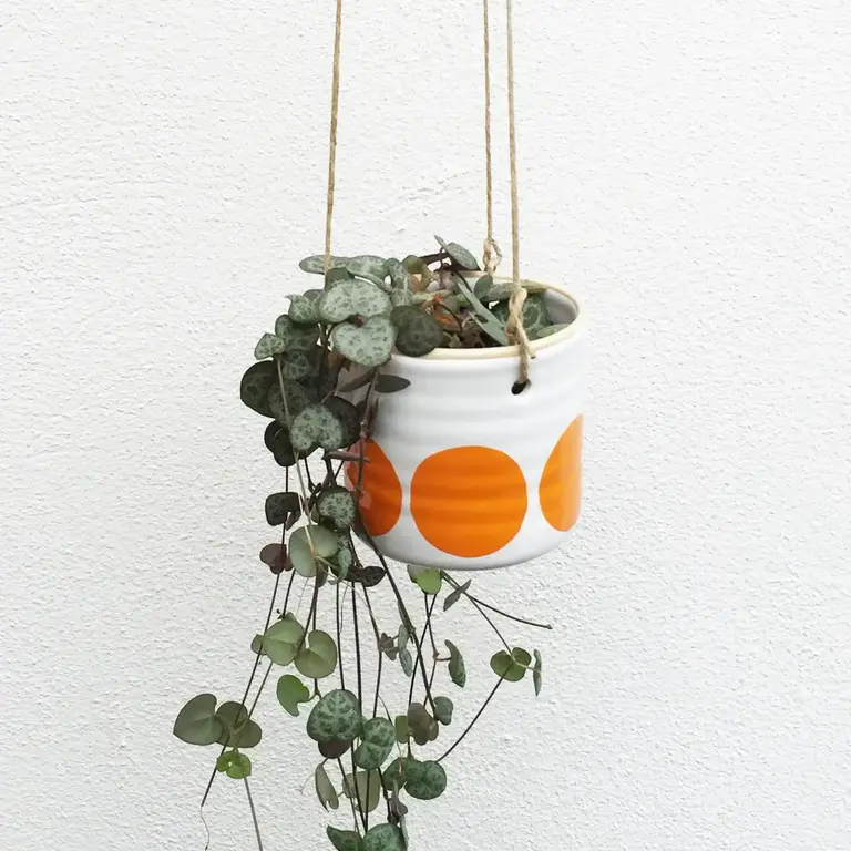 Camilla Engdahl Camilla Engdahl Small Dot Hanging Planter - Assorted