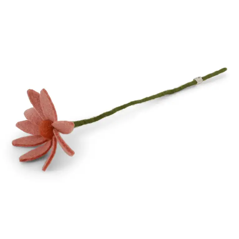 EGS EGS Cosmos Light Peach