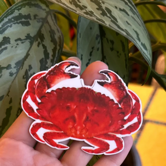 Owl & Bear Owl & Bear Red Rock Crab Magnet