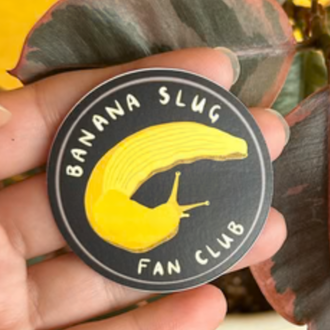 Owl & Bear Owl & Bear Banana Slug Fan Club Sticker