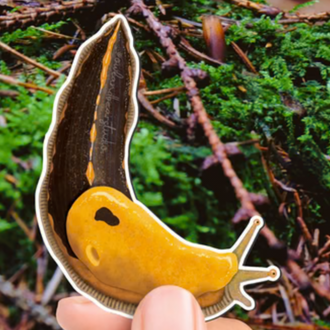 Owl & Bear Owl & Bear Banana Slug Magnet