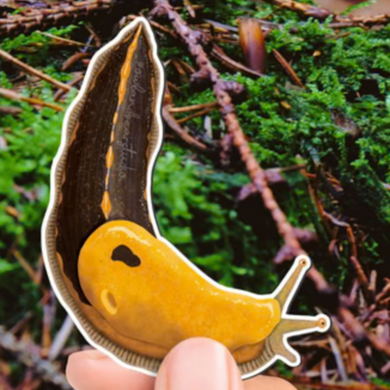 Owl & Bear Owl & Bear Banana Slug Magnet