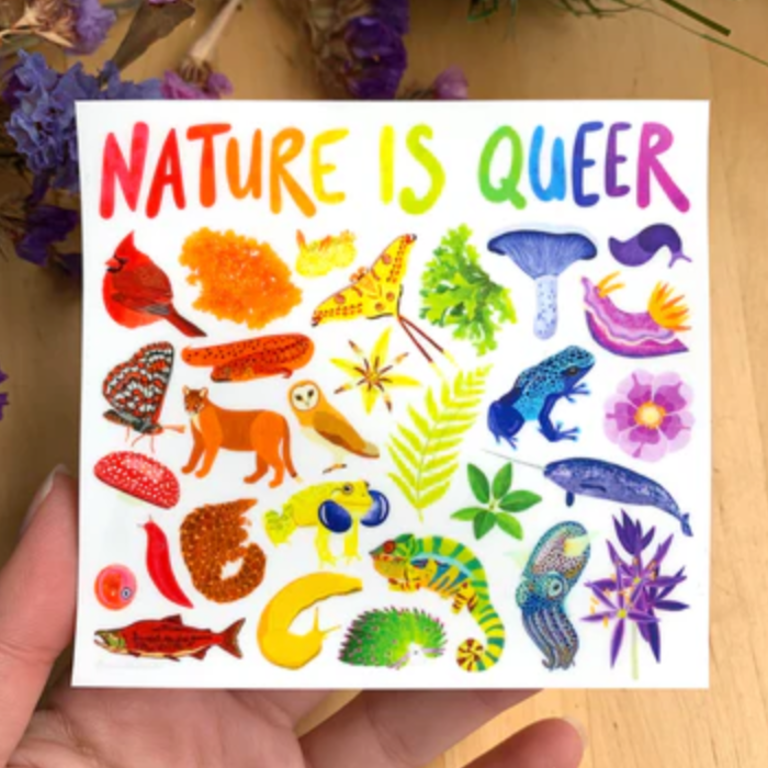 Owl & Bear Owl & Bear Nature Is Queer Sticker