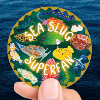 Owl & Bear Owl & Bear Sea Slug Superfan Sticker