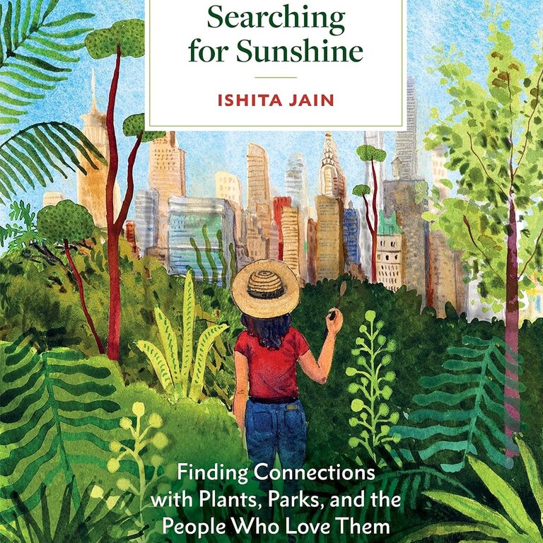 BD BD Searching For Sunshine