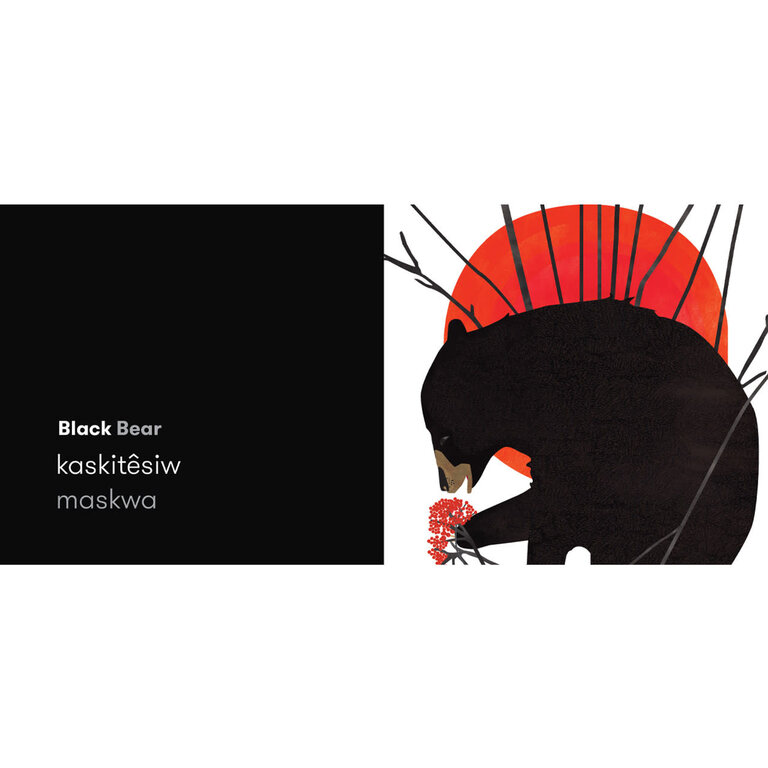 Raincoast Books Raincoast Black Bear Red Fox