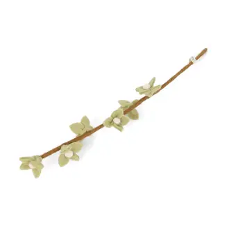 EGS EGS  Mint Flowers On Stalk EGS EGS  Mint Flowers On Stalk