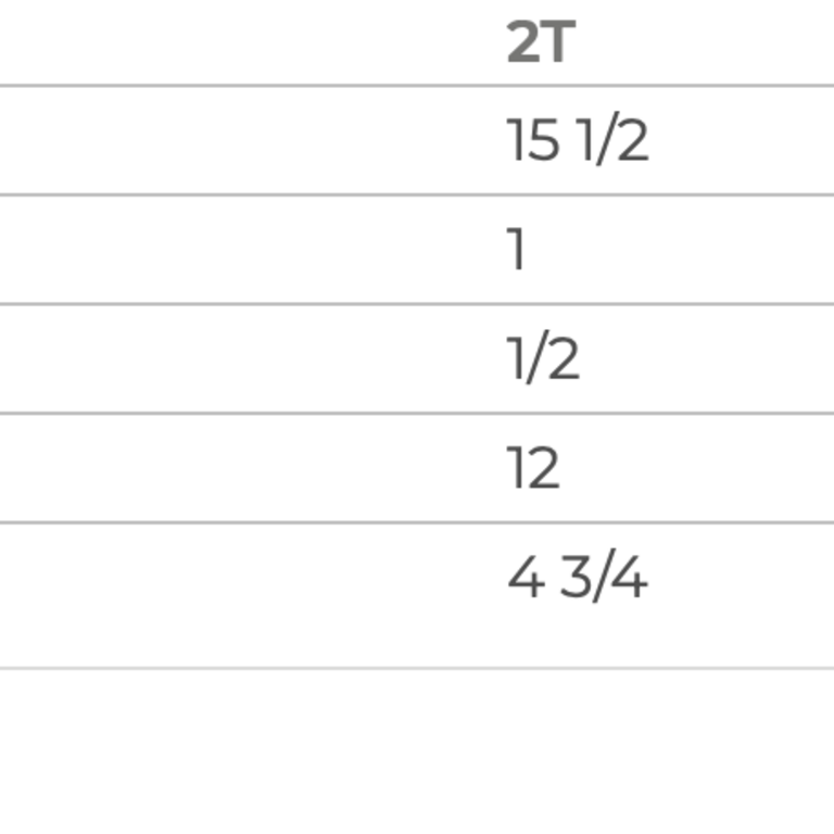 YTG YTG Snowmobile Tshirt Men