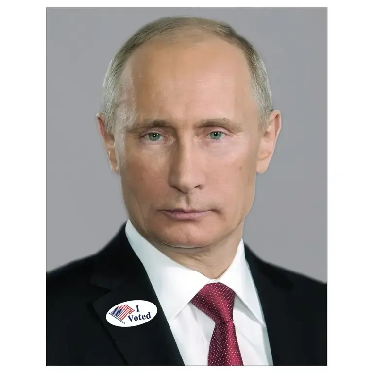 Fridgedoor Fridgedoor I Voted Magnet