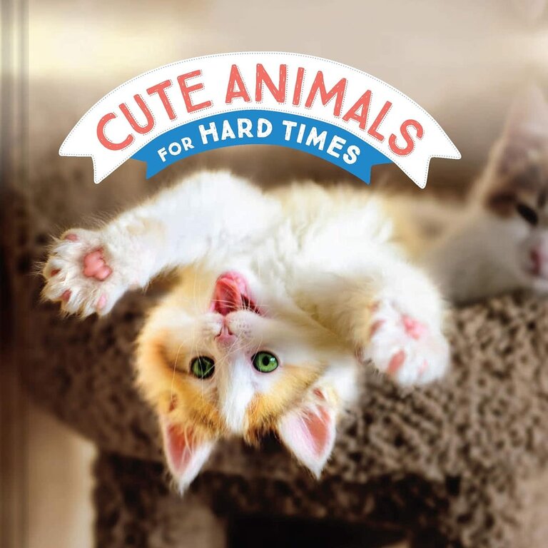 BD BD Cute Animals For Hard Times