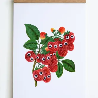 SHC SHC Googly Raspberries Print 8x10 Unframed