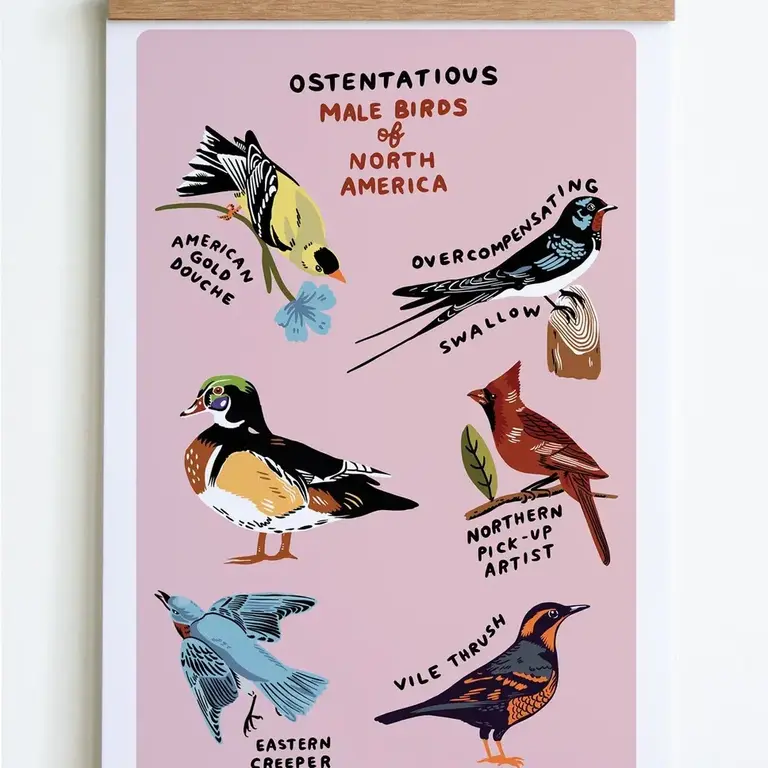 SHC SHC Male Birds Pink Print 8x10 Unframed