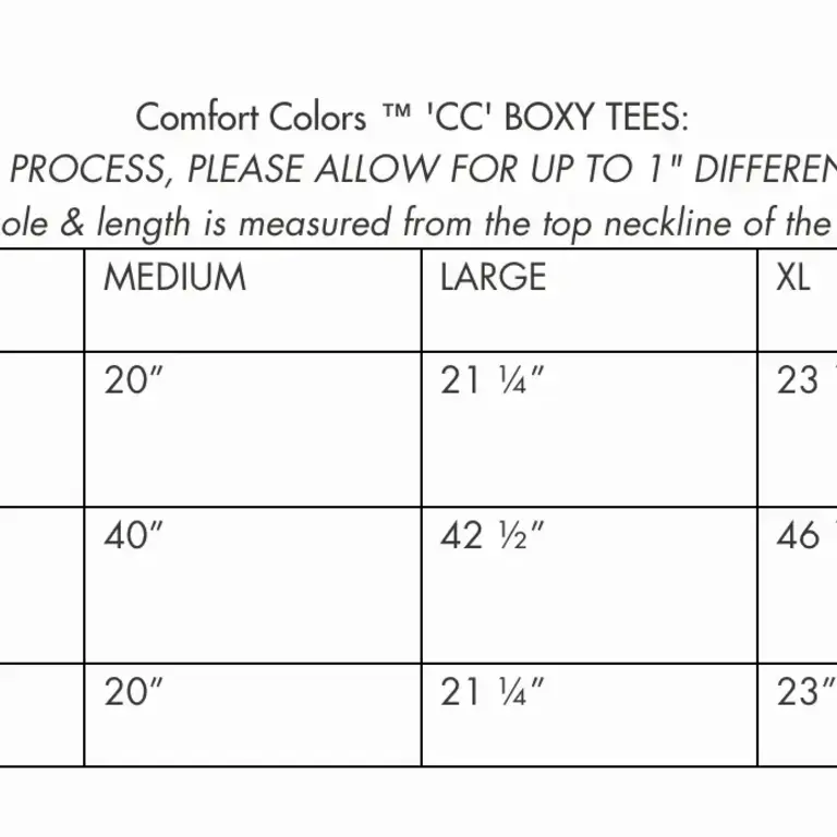 SHC SHC Lose My Shirt Boxy Tshirt