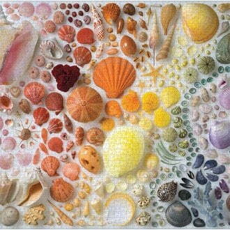 Raincoast Books Raincoast Rainbow Seashells 2000 Piece Puzzle