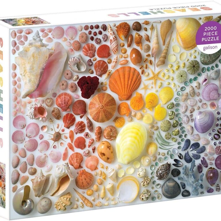 Raincoast Books Raincoast Rainbow Seashells 2000 Piece Puzzle