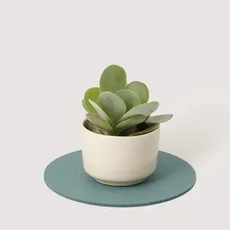 Graf Lantz Graf Lantz Merino Wool Round Trivet 10" Spruce