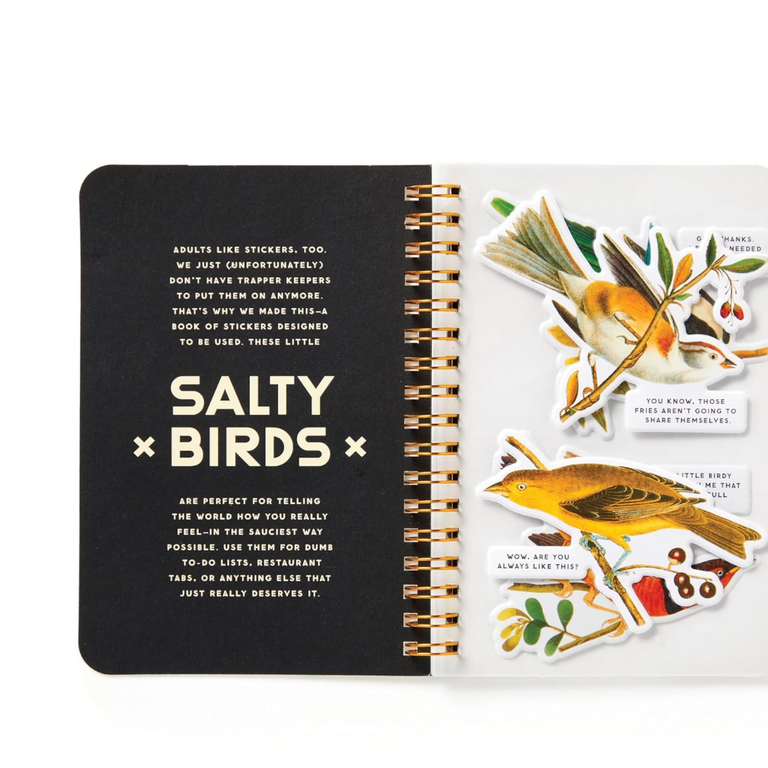 Raincoast Books Raincoast Salty Birds Sticker Book