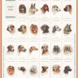 SHC SHC Dogs' Head Mega Sticker Sheet